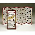 Steven Lewers & Associates Sibleyapos;s Backyard Birds Southeast Book LEWERSBBS110